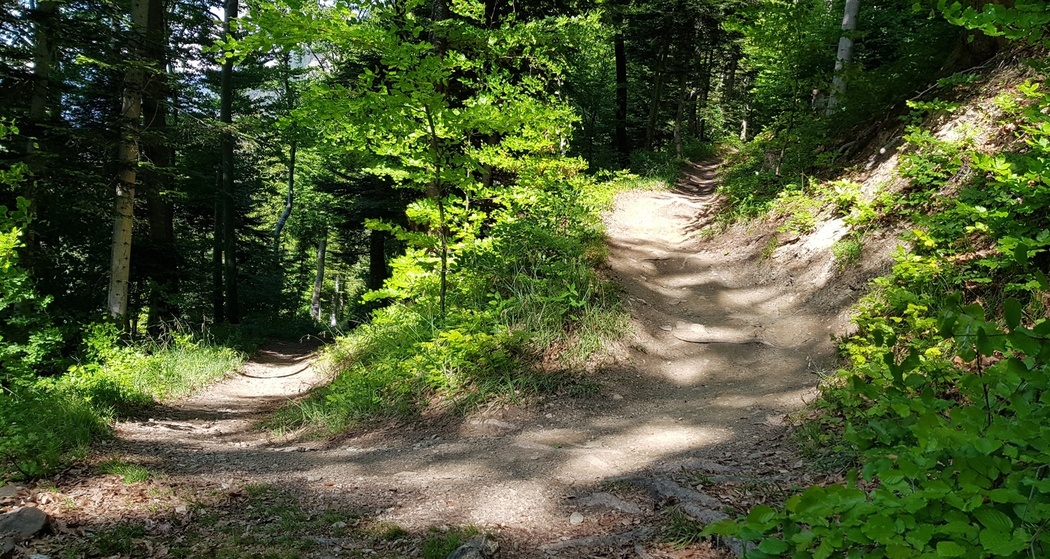 Mittenberg Freeride (oua_50355610_image)