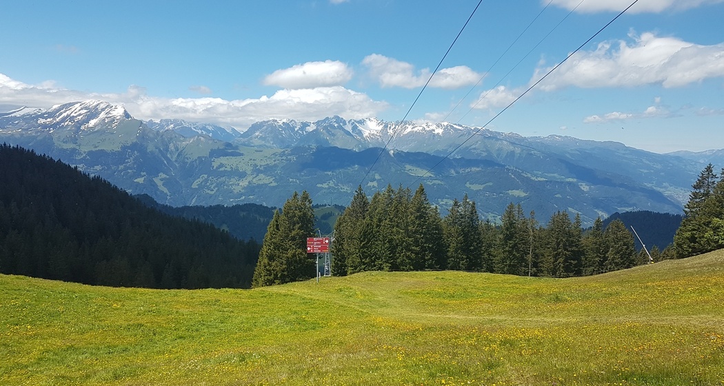 Aussicht Grüsch-Danusa