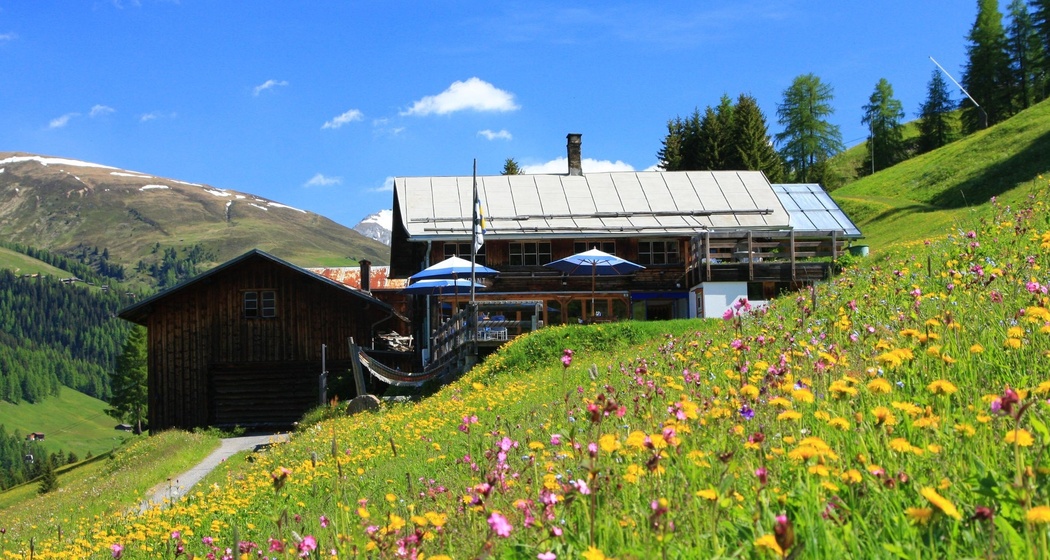 Spina Restaurant (oua_50598929_image)