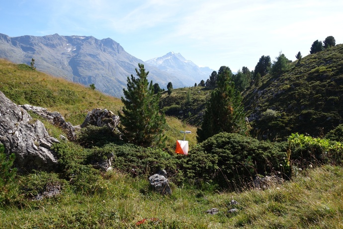OL Posten auf Corviglia