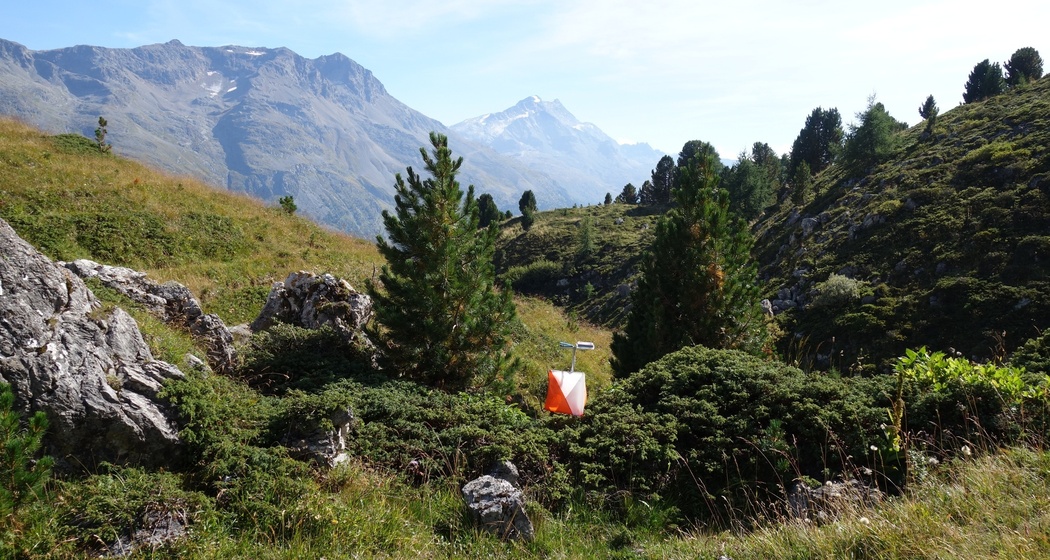 OL Posten auf Corviglia
