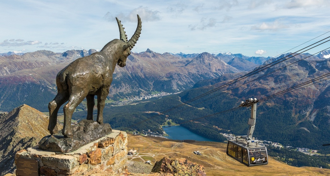 Der Steinbock Guardia Grischun auf dem Piz Nair bewacht das Oberengadin