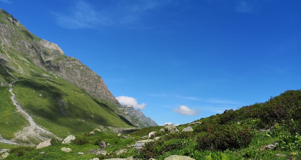 Trail da la Duana (oua_50692765_image)