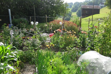 Bauernhof und Schaugarten Schnider, Surcuolm (oua_50792421_image)