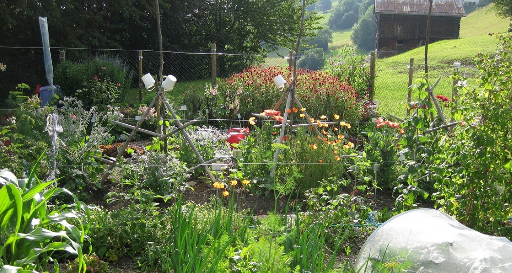 Bauernhof und Schaugarten Schnider, Surcuolm (oua_50792421_image)