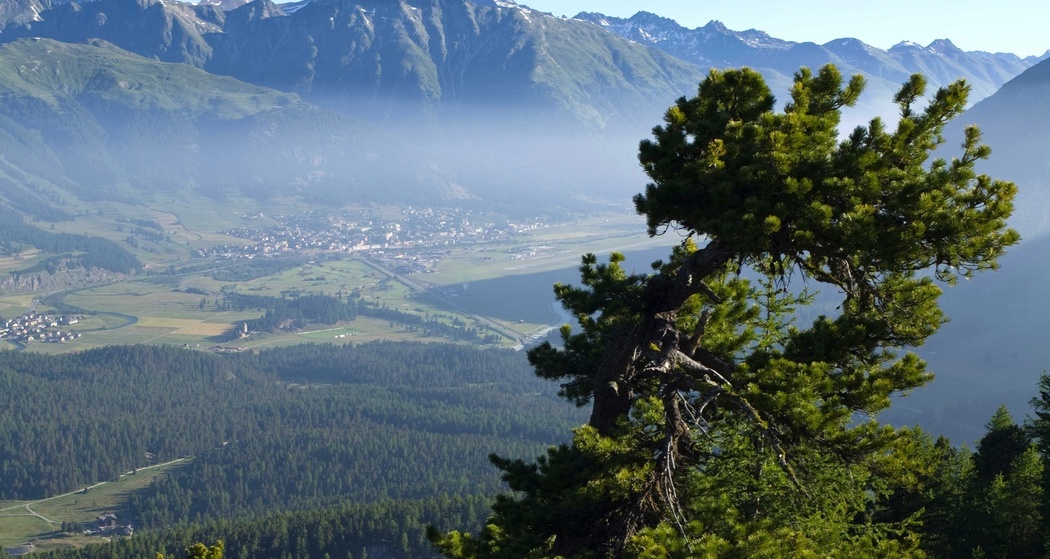 Muottas da Schlarigna