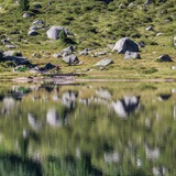 Maloja - Orden - Cavloccio - Maloja (oua_50936509_image)