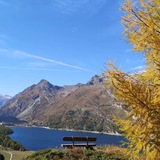 Maloja - Pet Preir - Sils – Isola - Maloja (oua_50937717_image)