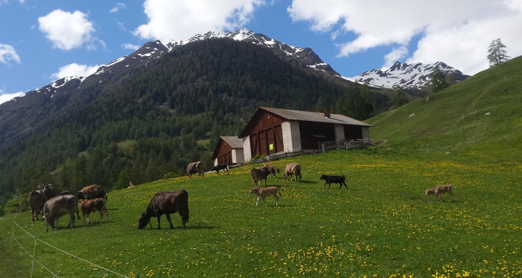 Biohof Quadrella (oua_51047401_image)