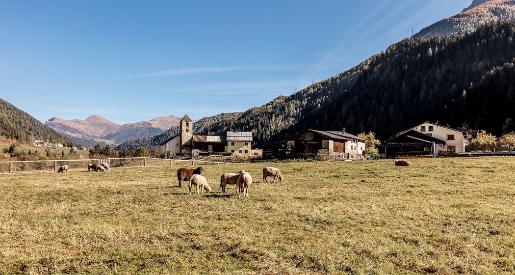 San Niclà (oua_51064497_image)