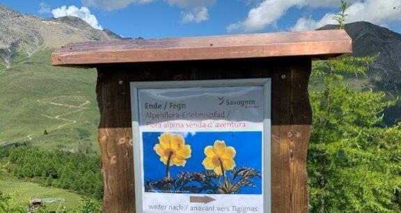 Grillstelle Alpenflora-Erlebnisweg, Somtgant (oua_51064974_image)
