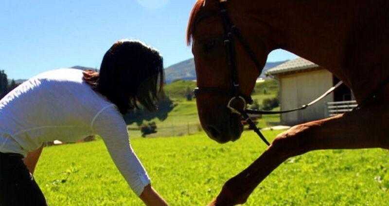 EquiCoaching - personal Training für dein Pferd, Brigels (oua_51156534_image)