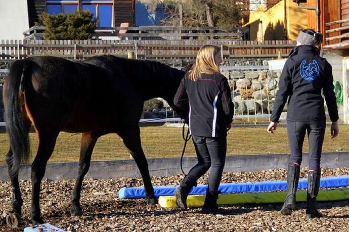 EquiCoaching - personal Training für dein Pferd, Brigels (oua_51156535_image)