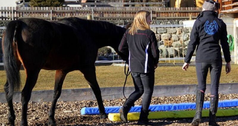 EquiCoaching - personal Training für dein Pferd, Brigels (oua_51156535_image)
