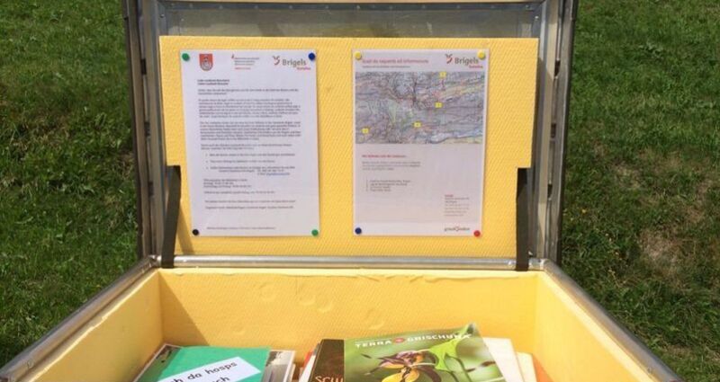 Lesebank La Crusch, Dardin (oua_51159638_image)