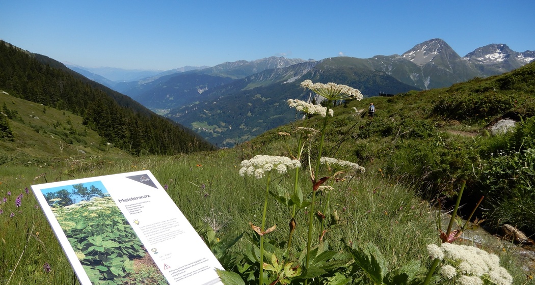 Information am Wegrand