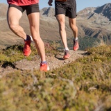 Davos X-Trails - Gold K43 (oua_51242739_image)