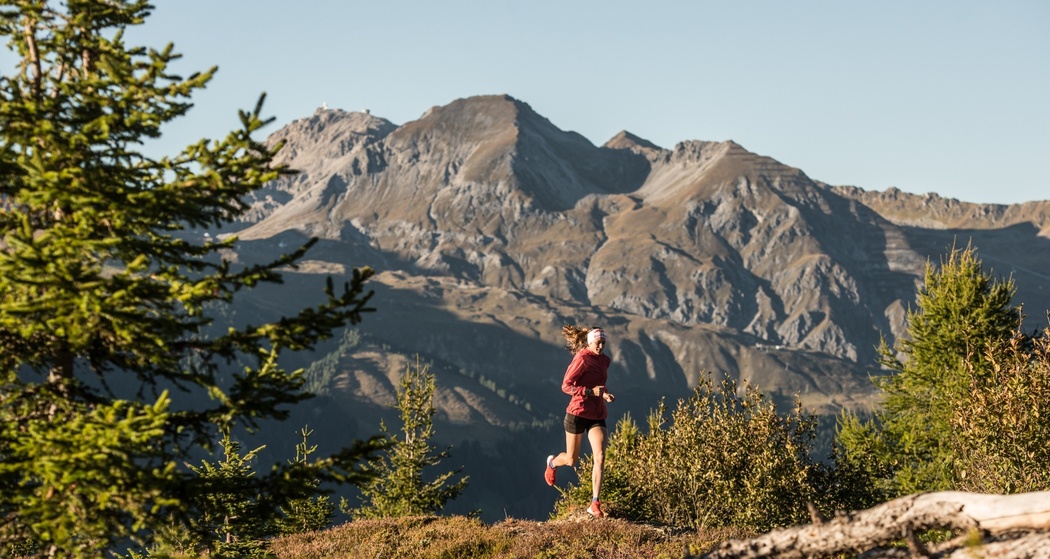 Forest Trailrun (oua_51242744_image)