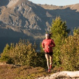 Forest Trailrun (oua_51242746_image)