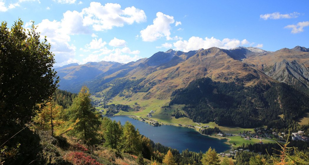 Drusatscha (oua_51330916_image)