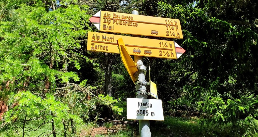 Brail – Alp Barlas-ch – Val Pülschezza – Zernez (oua_51334168_image)