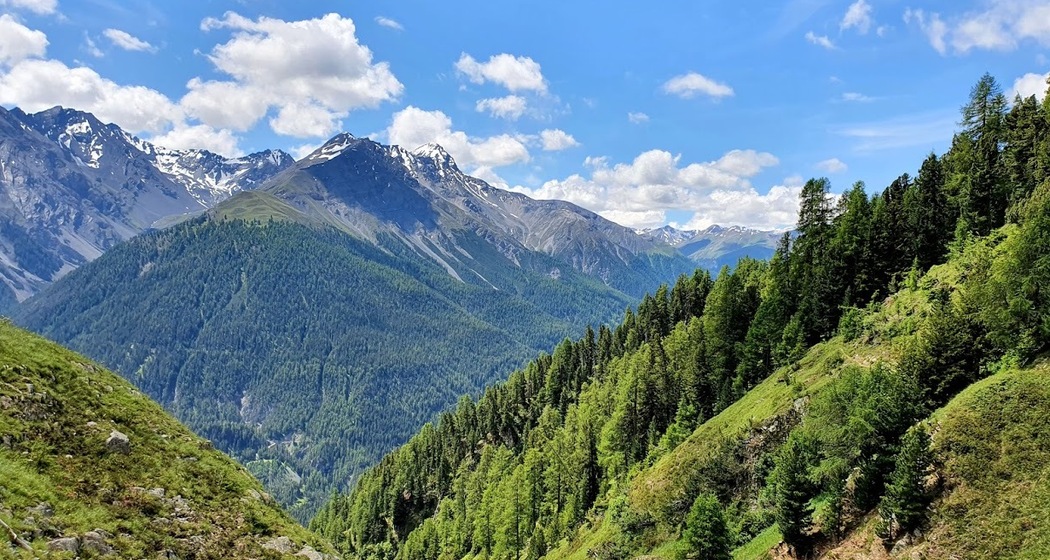 Brail – Alp Barlas-ch – Val Pülschezza – Zernez (oua_51334169_image)