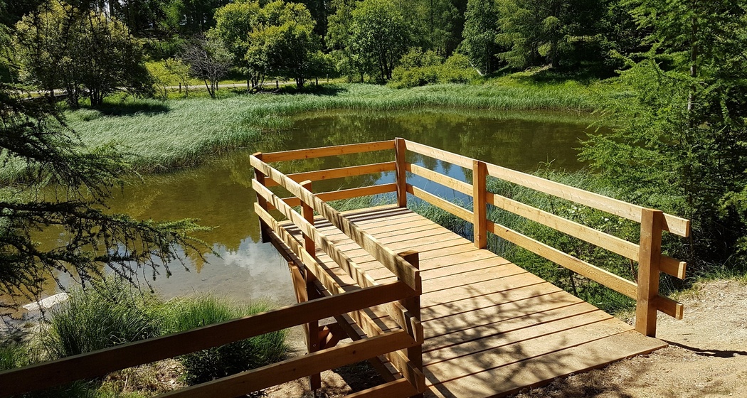 Steg bei der Grillstelle Plaun Graund