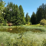 Expérience nature Feldis - Élément feu (oua_51480410_image)