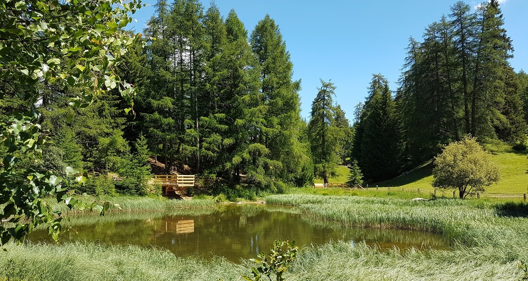 Naturerlebnis Feldis - Element Feuer (oua_51480410_image)