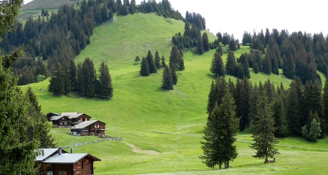 Trotti-Station Tratza (oua_51534072_image)