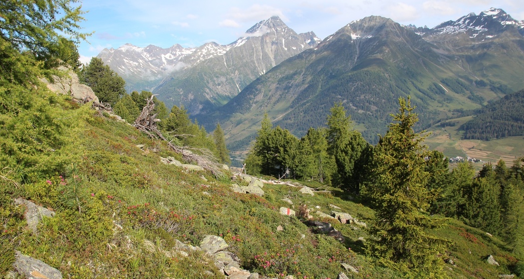 Muot la Sella: Panoramablick Unterengadin
