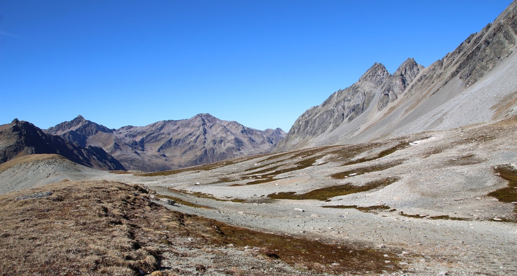 Flesspass und Vereinapass
