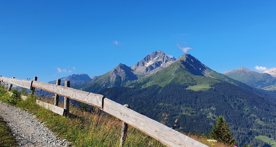 Plang la Curvanera - Pass digls Orgels - Pass d'Ela - Preda (oua_51678183_image)