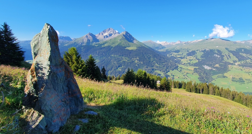 Plang la Curvanera - Pass digls Orgels - Pass d'Ela - Preda (oua_51678203_image)