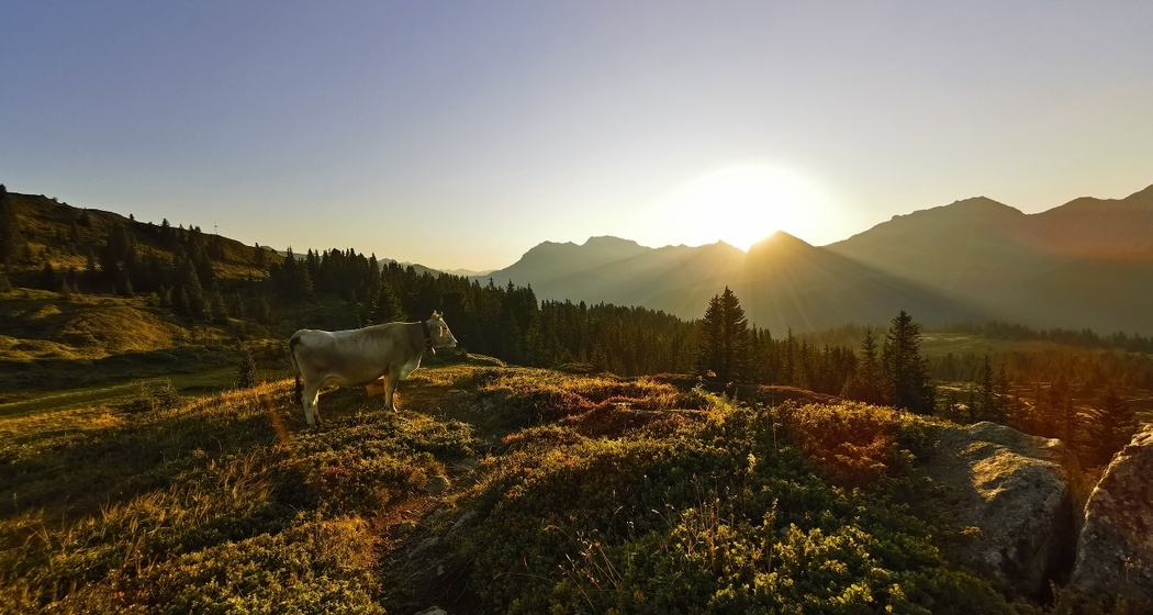 Morgensonne oberhalb vom General Guisan Platz