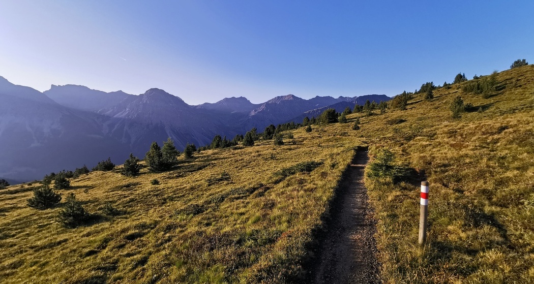 Vom Maraner Hauptji runter zur LAW-Mittelstation, kurz vor dem Föhrenwald