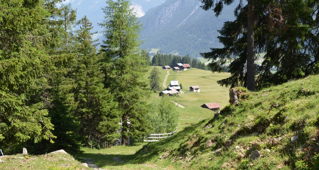 Radons - Tigia - Parnoz - Savognin (oua_51720654_image)
