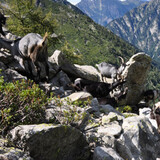 Bocchetta d'Agnon - le vie del Viandante (oua_51747931_image)