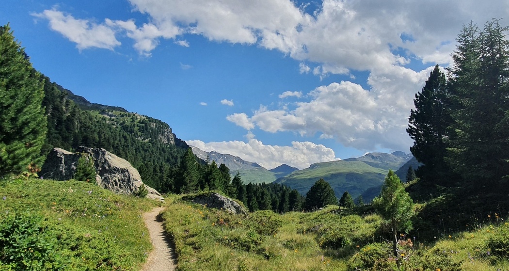 Trailrun Rund um den Marmorerasee (oua_51877358_image)