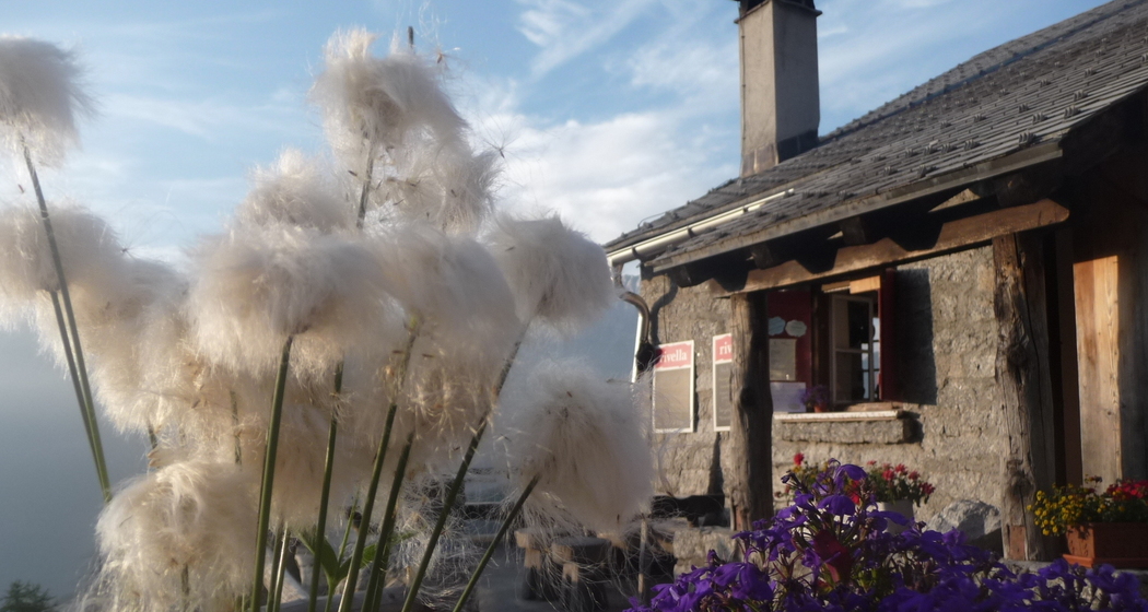 Bondo - Capanna Sasc-Furä (oua_51878205_image)