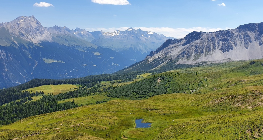 Munter - Ziteil - Stierva (oua_51898475_image)