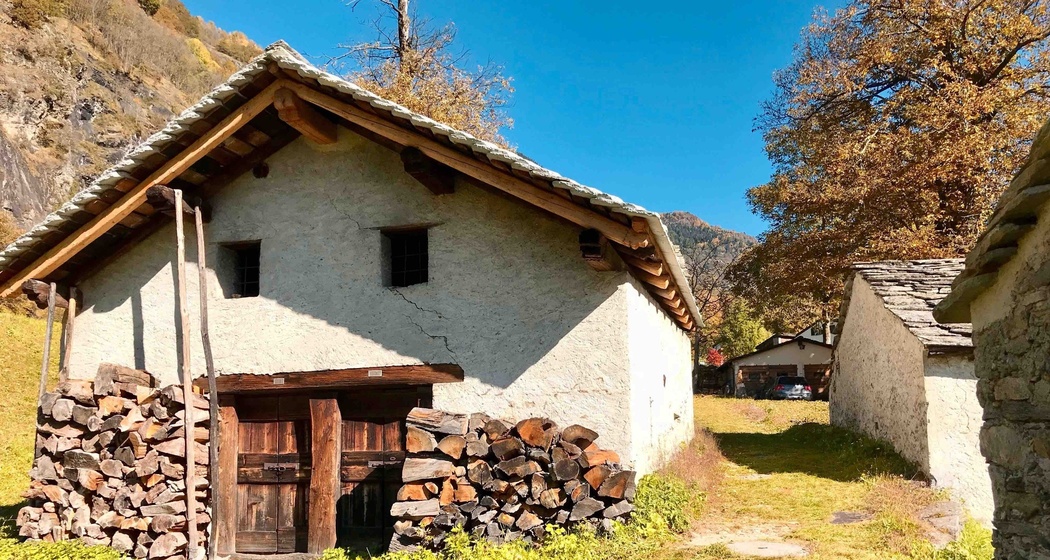 Kastanienwald mit Dörrhütten (oua_51933404_image)