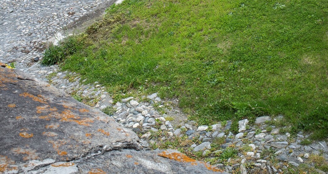 Gesundheitstor (oua_52016288_image)