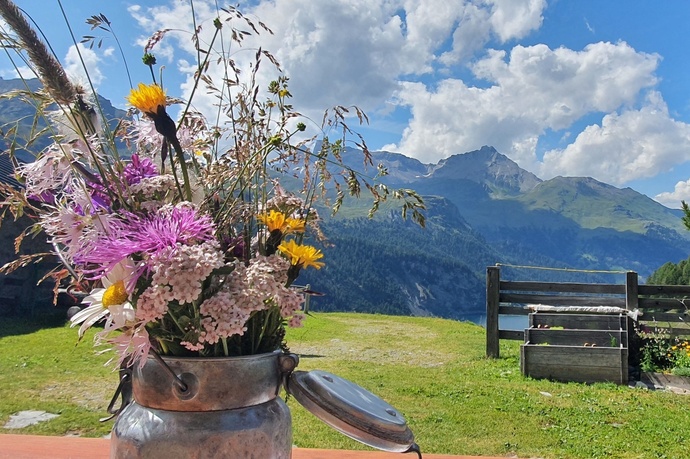 Trailrun Bivio - Alp Natons - Bivio (oua_52073412_image)