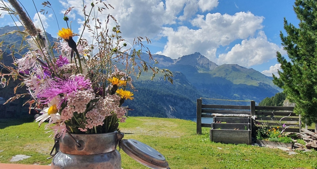 Trailrun Bivio - Alp Natons - Bivio (oua_52073412_image)