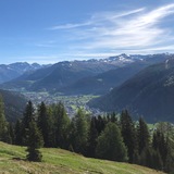 Chörbschhorn #646 (oua_52466639_image)