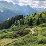 Rinerhorn - Sertig (oua_52643463_image)