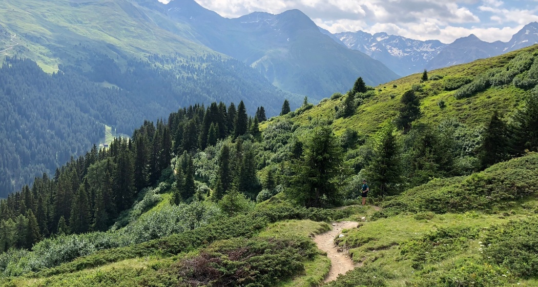 Rinerhorn - Sertig (oua_52643463_image)