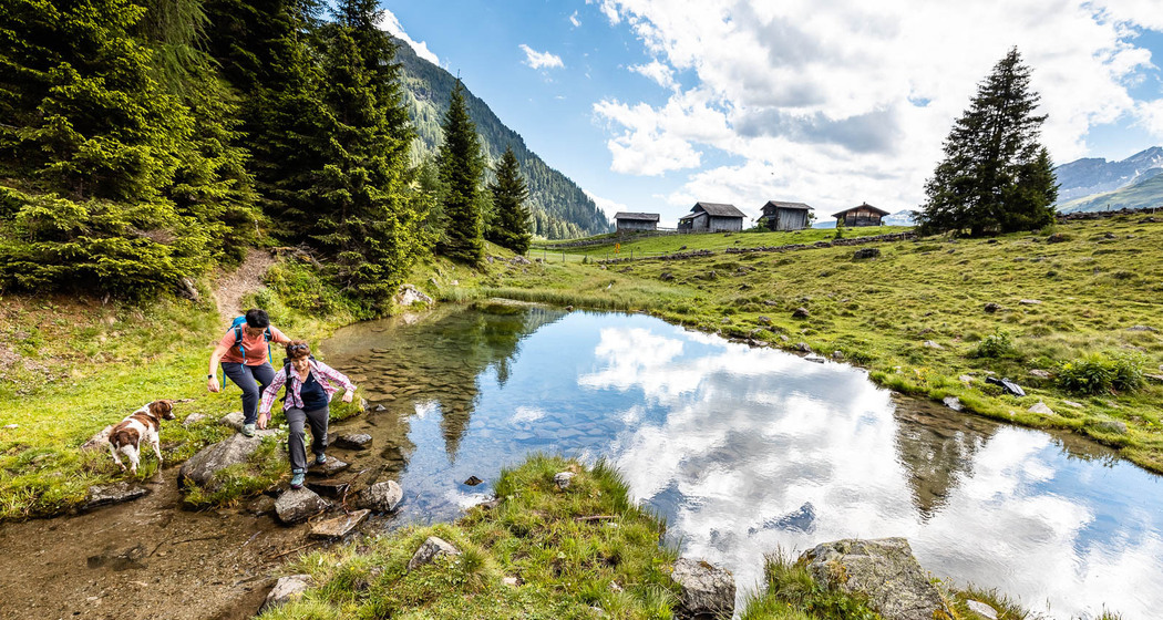 Pischa Drusatscha (oua_52643577_image)