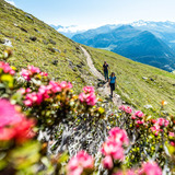 Panoramaweg (Schatzalp - Wolfgang) (oua_52643882_image)